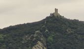 Tour Wandern Collioure - Tour Madeloc-Boucle_col-de-Serra_T - Photo 6