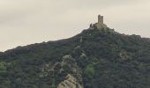 Percorso Marcia Collioure - Tour Madeloc-Boucle_col-de-Serra_T - Photo 6