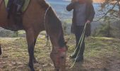 Tour Reiten Raon-l'Étape - Chapelle des pestiférés yoigo Tivio  - Photo 9