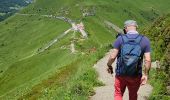 Tocht Stappen Lavigerie - 2024 RA Cantal Puy Mary - Photo 9