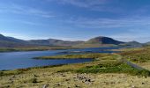 Trail On foot Westport-Belmullet Municipal District - Furnace Loop - Mayo - Photo 10