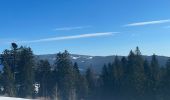 Randonnée Raquettes à neige Métabief - Les hauteurs de Metabief - Photo 6