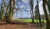 Randonnée Marche Durbuy - Bois de Viné BORLON - Photo 2