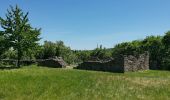 Percorso A piedi Kelbra (Kyffhäuser) - Rundweg 1: Schleiferweg-Dorntal - Photo 6