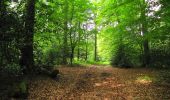 Randonnée Marche Coyolles - en forêt de Retz_78_les rayons du Rond Capitaine - Photo 6