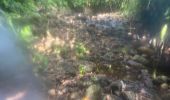 Trail Trail Petit-Bourg - IRA - Photo 5