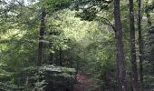 Excursión Senderismo Le Valtin - VOSGES 2023 - Sentier des Roches - Photo 10