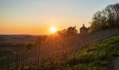 Tour Zu Fuß Östringen - Hügelweg Odenheim - Photo 4