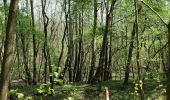 Tour Zu Fuß Blankenfelde-Mahlow - Naturlehrpfad - Photo 5