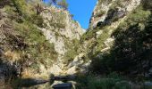 Excursión Senderismo Ollioules - 2021 10 20 les gorges de la Destel - Photo 10