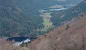 Trail Walking Le Valtin - le Collet - Longemer - Photo 5