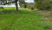 Tour Wandern Bueil-en-Touraine - Bueil-en-Touraine - Autour de la vallée du Long - Photo 13