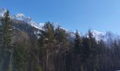 Randonnée Marche Chamonix-Mont-Blanc - Chamonix Base hélicoptère  - Photo 1