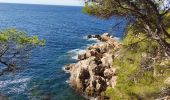 Trail Walking Saint-Cyr-sur-Mer - Port d'Alon-Madrague - Photo 5