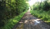 Randonnée Marche Madonne-et-Lamerey - Bois de Dompaire  - Photo 1