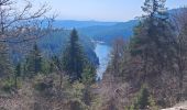 Trail Walking Orbey - lac blanc, gazon du faing, lac noir, rocher Hans, lac blanc  - Photo 10