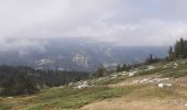 Tocht Noords wandelen Lans-en-Vercors - La Moucherotte - Photo 15