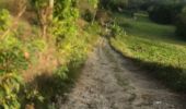 Trail Trail Sainte-Anne - Belle mare - Photo 1