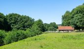 Tour Zu Fuß Warburg - A9 Rundwanderweg Hardehausen - Photo 8