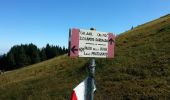 Trail On foot Fanano - IT-401 - Photo 4