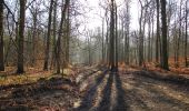 Excursión Senderismo Vieux-Moulin - en forêt de Compiègne_25_les Tournantes du Mont Saint-Pierre - Photo 16