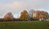 Tour Wandern Verviers - 20201129 - Maison Bois 5.1 Km - Photo 12