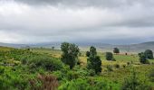 Tour Wandern Anglards-de-Salers - Chemin des estives - Photo 11