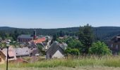 Tocht Stappen Wangenbourg-Engenthal - Wangenbourg Schneeberg - Photo 11