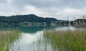 Excursión Senderismo Mattsee - Le tour du Mattsee - Photo 13