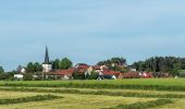 Percorso A piedi Heiligenstadt - Rundweg Teufelsgraben - Photo 5