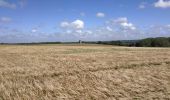 Tocht Stappen Saint-Martin-Boulogne - randonnée  blanc pignon Mont Lambert - Photo 6