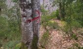 Trail Walking Saint-Laurent-en-Royans - 26 rocher des mines ARP - Photo 3