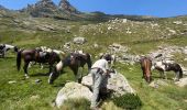 Trail Horseback riding Gavarnie-Gèdre - Gavarnie étape 4 - Photo 19