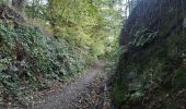 Trail Walking Sprimont - banneux . fraipont . nessonvaux . trasenster . banneux - Photo 7