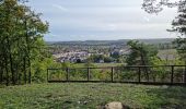 Tocht Stappen Chauffour-lès-Étréchy - Chauffour-lès-Etréchy - Coteau des Verts Galants - Photo 9