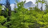 Tour Wandern Tréminis - Sentier de la résistance en boucle - Photo 9