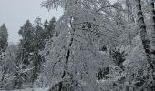 Percorso Marcia Aquisgrana - Aachenerwald ❄️⛄️ - Photo 6