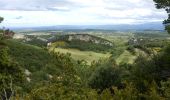 Trail Walking Buoux - Buoux-Grand Luberon 17km - Photo 5