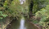 Trail Walking Valkenburg aan de Geul - Valkenburg  - Photo 5