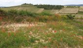 Tour Wandern Solutré-Pouilly - Solutré Vergisson 2 roches - Photo 3