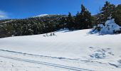 Excursión Esquí de fondo Gréolières - Greolière  les neiges Chalet du fondeur - Photo 2