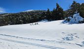 Randonnée Ski de fond Gréolières - Greolière  les neiges Chalet du fondeur - Photo 2