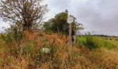 Trail Walking Cerfontaine - Senzeilles- Promenade de Beau Château  - Photo 1