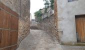 Tour Wandern Duilhac-sous-Peyrepertuse - boucle moulin de ribaute - duilhac - gorge du verdouble  - Photo 12