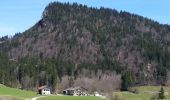 Tocht Te voet Kiefersfelden - Weg Nr. 5 - Höhenrundweg um den Scharzenberg - Oberaudorf/Hocheck - Photo 5