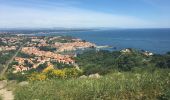 Tocht Stappen Port-Vendres - Port vendres - Collioure par la route des crêtes  - Photo 1