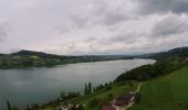 Tour Zu Fuß Meisterschwanden - Schloss Hallwil - Strandbad Tennwil - Photo 1