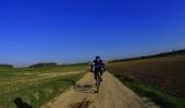 Excursión Bici de montaña Gerpinnes - VTT  de  fromiexe-a-maredsous 2 - Photo 10