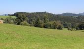 Tour Zu Fuß Hilders - Rundweg 19, Eckweisbach - Photo 1