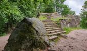 Tour Wandern Ottrott - Le circuit nord et sud du Mur Païen - Photo 16